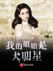 我的姐姐是大明星封面